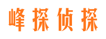 南县市私人侦探